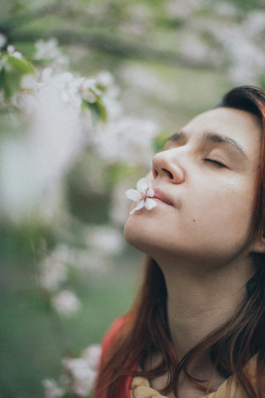 Acupuncture for Seasonal Allergies in Great Neck, NY: Natural Hay Fever Relief for Queens & Long Island
